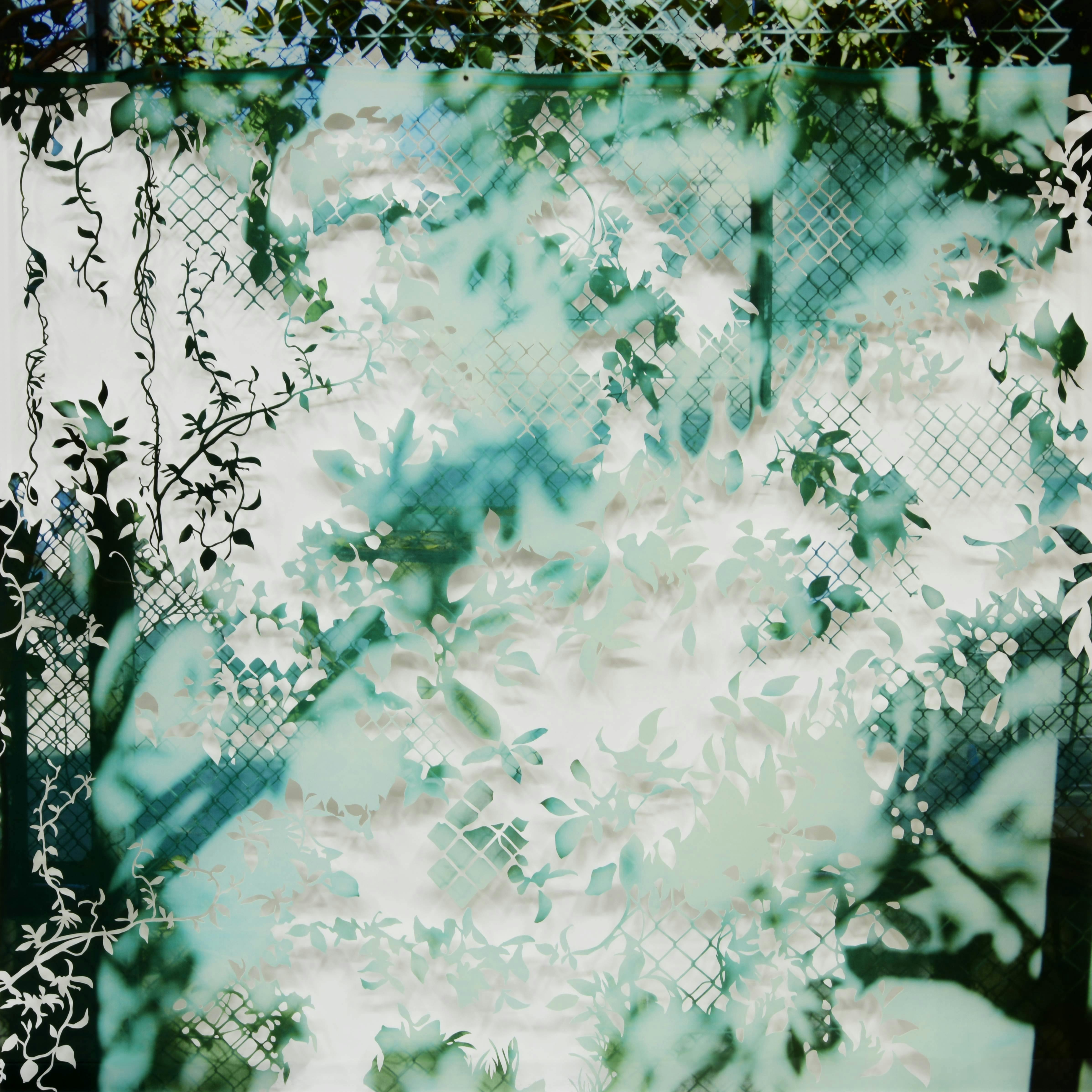 Trace 池田衆の販売 通販 Oil By 美術手帖