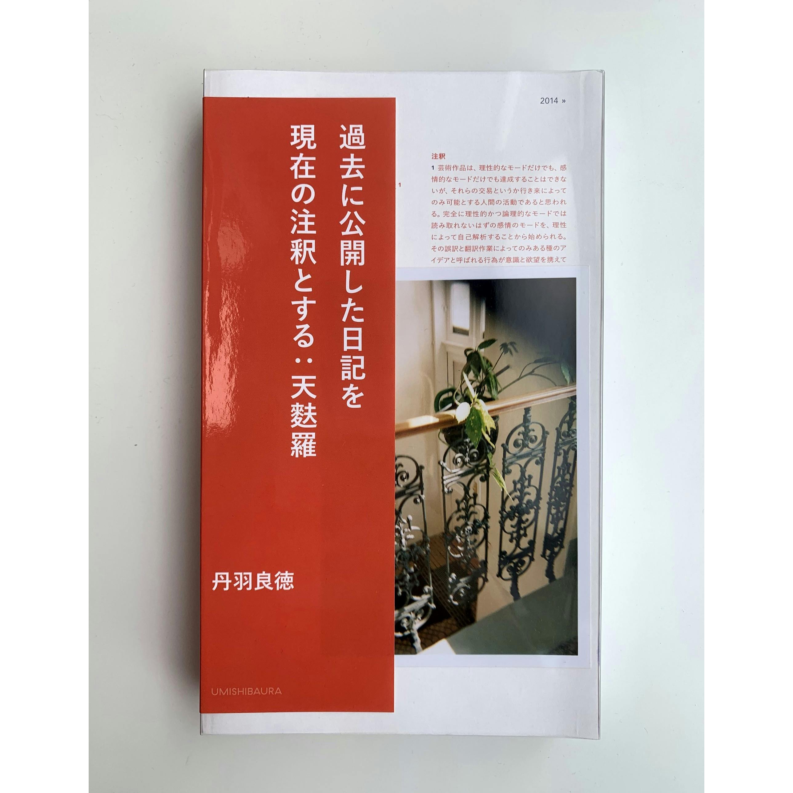 『過去に公開した日記を現在の注釈とする：天麩羅』