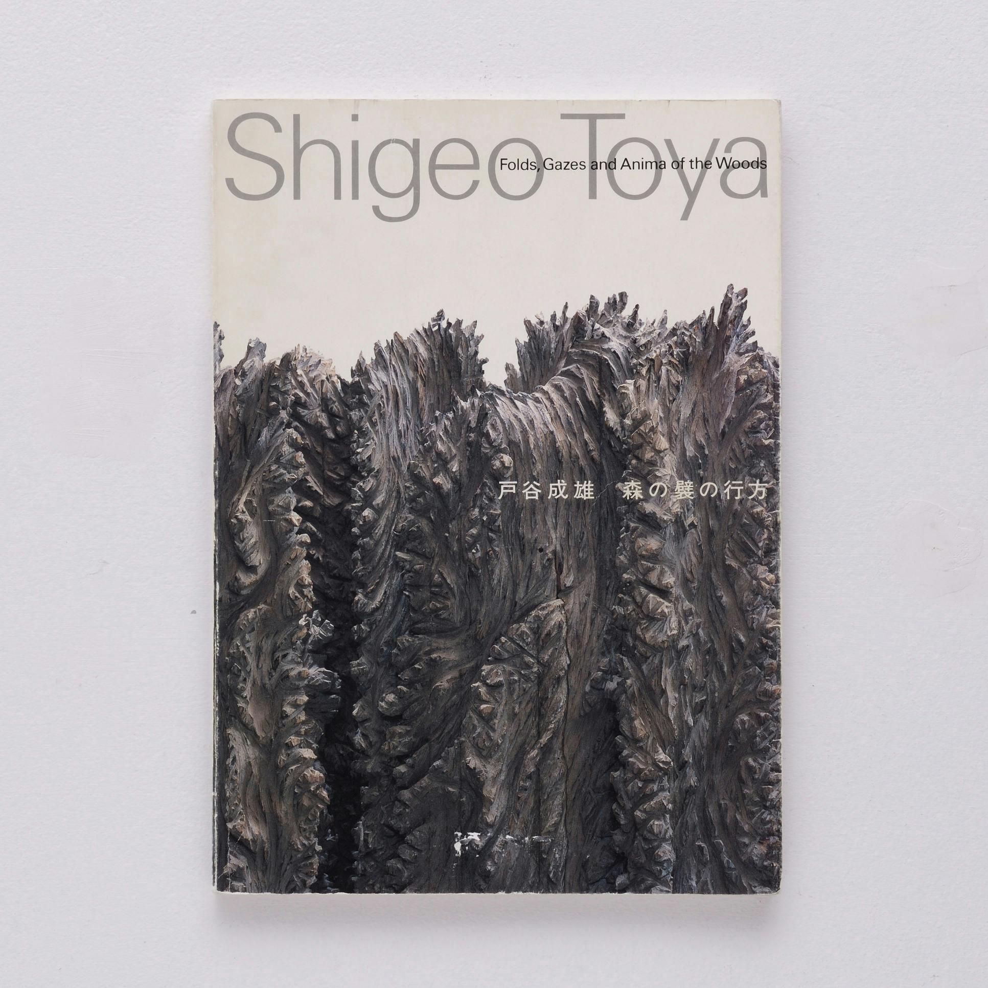 戸谷成雄：森の襞の行方  Shigeo TOYA: Folds, Gazes and Anima of the Woods