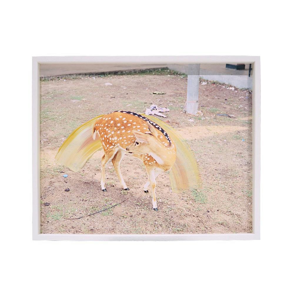 Sunny Deer-From the series A Myth of Two Souls