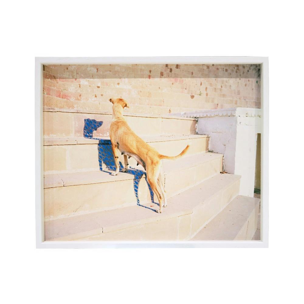 Stalking Shadowh-From the series A Myth of Two Souls