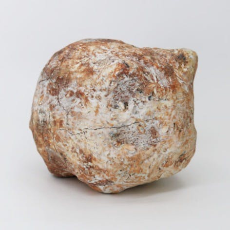 藤村亮太 作品の販売・通販 | OIL by 美術手帖 藤村亮太 作品の販売・通販 | OIL by 美術手帖