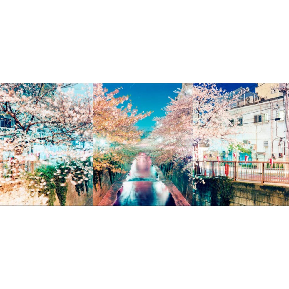 "3 Days in 3 Years" from Panning of Days series