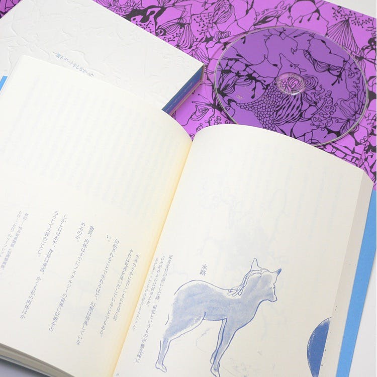 一度もデートをしなかった / We Never Went Out on a Date