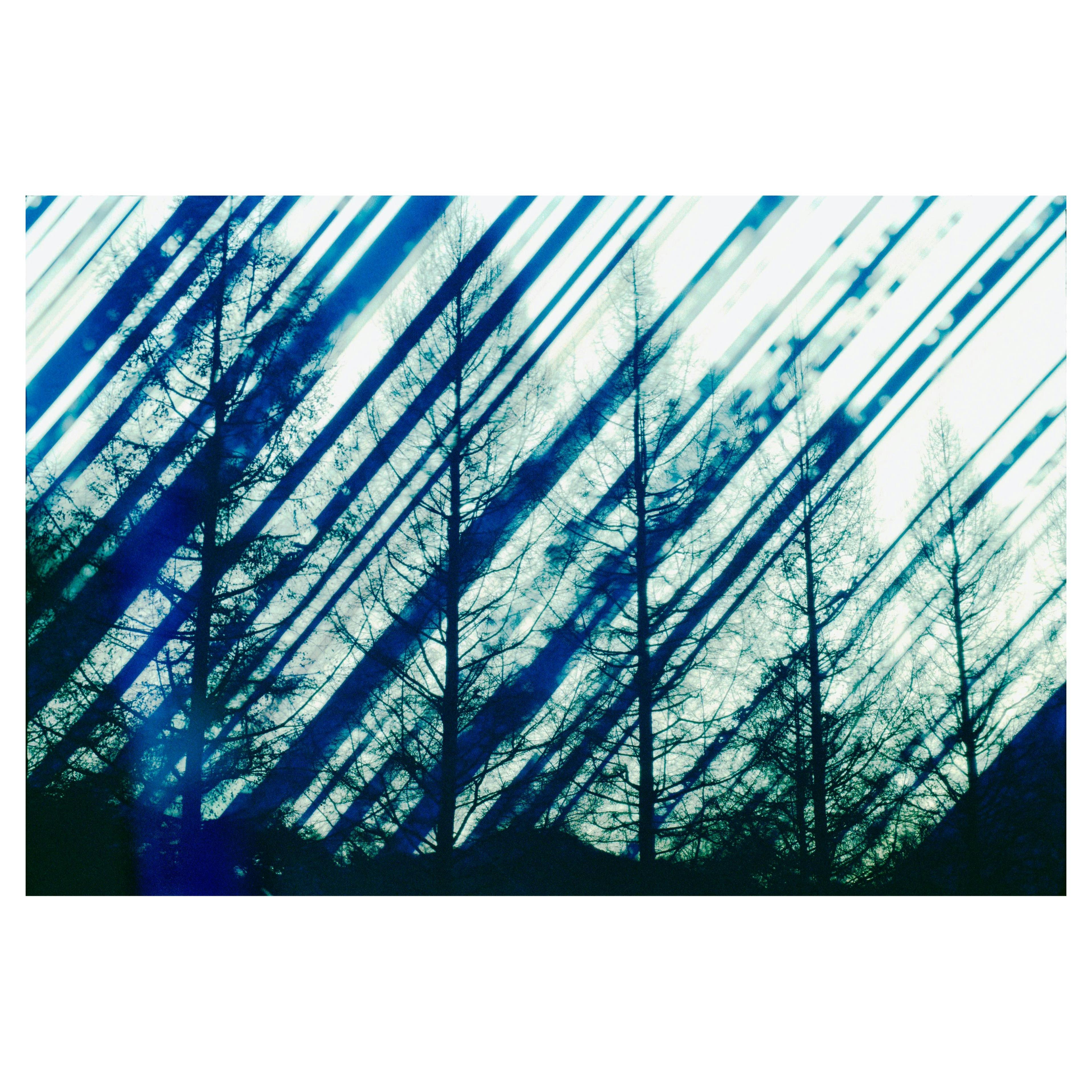 光を集める　山梨県北杜市清里　2016年冬至－2017年夏至