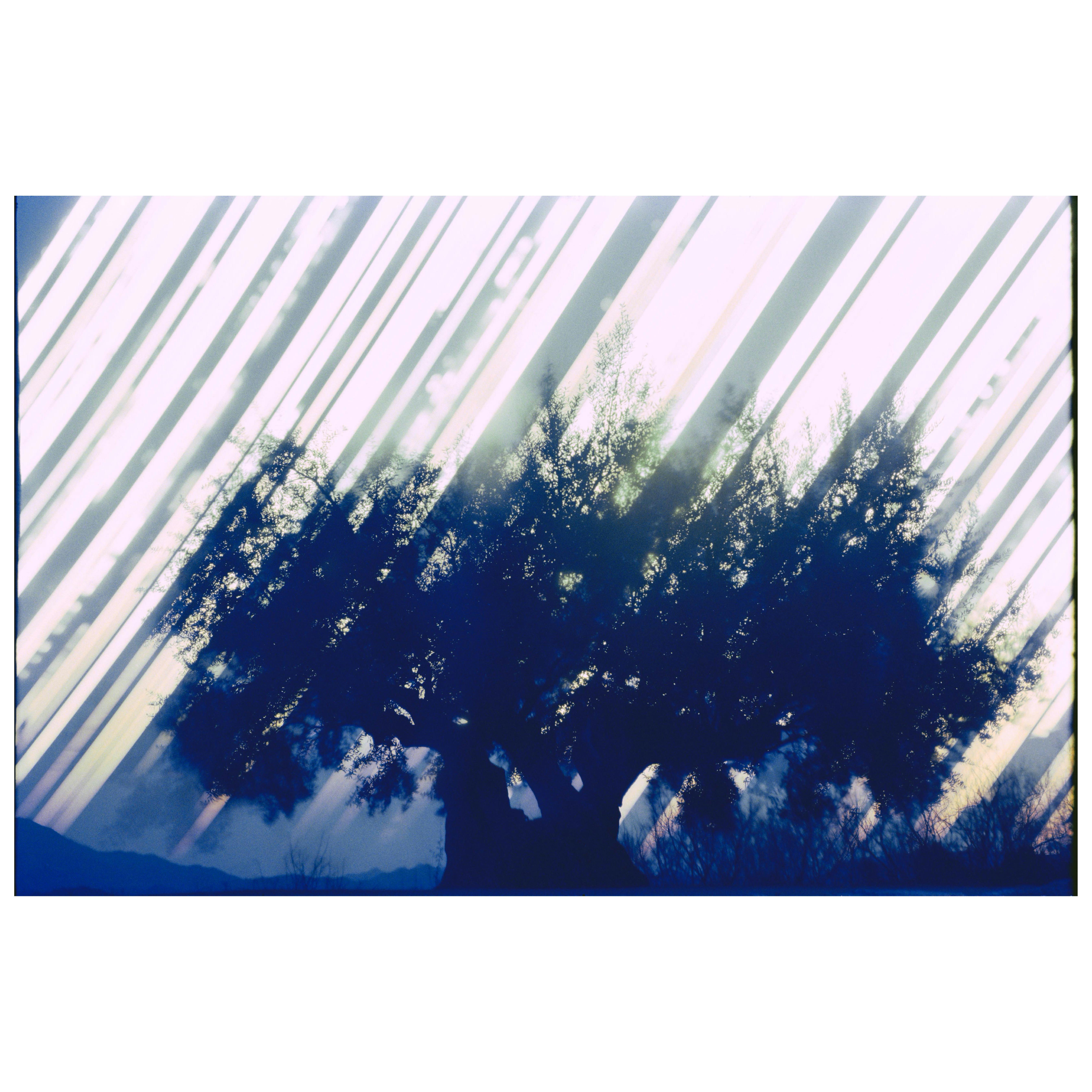 光を集める　香川県土庄町 小豆島 No.1　2017年冬至－2018年夏至