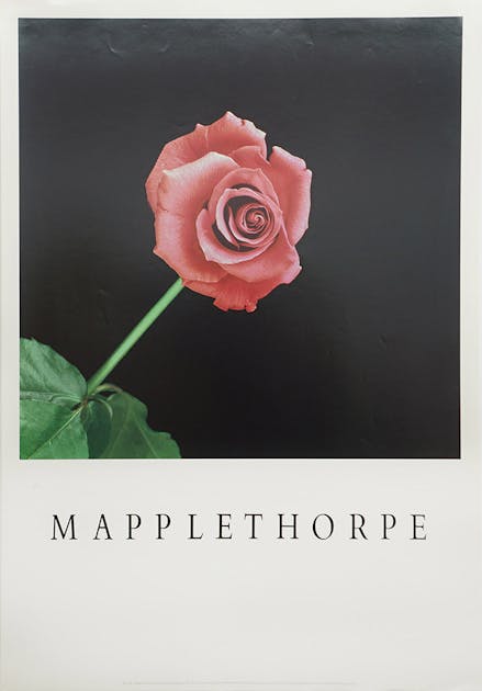 Rose Poster ロバート メイプルソープの販売 通販 Oil By 美術手帖