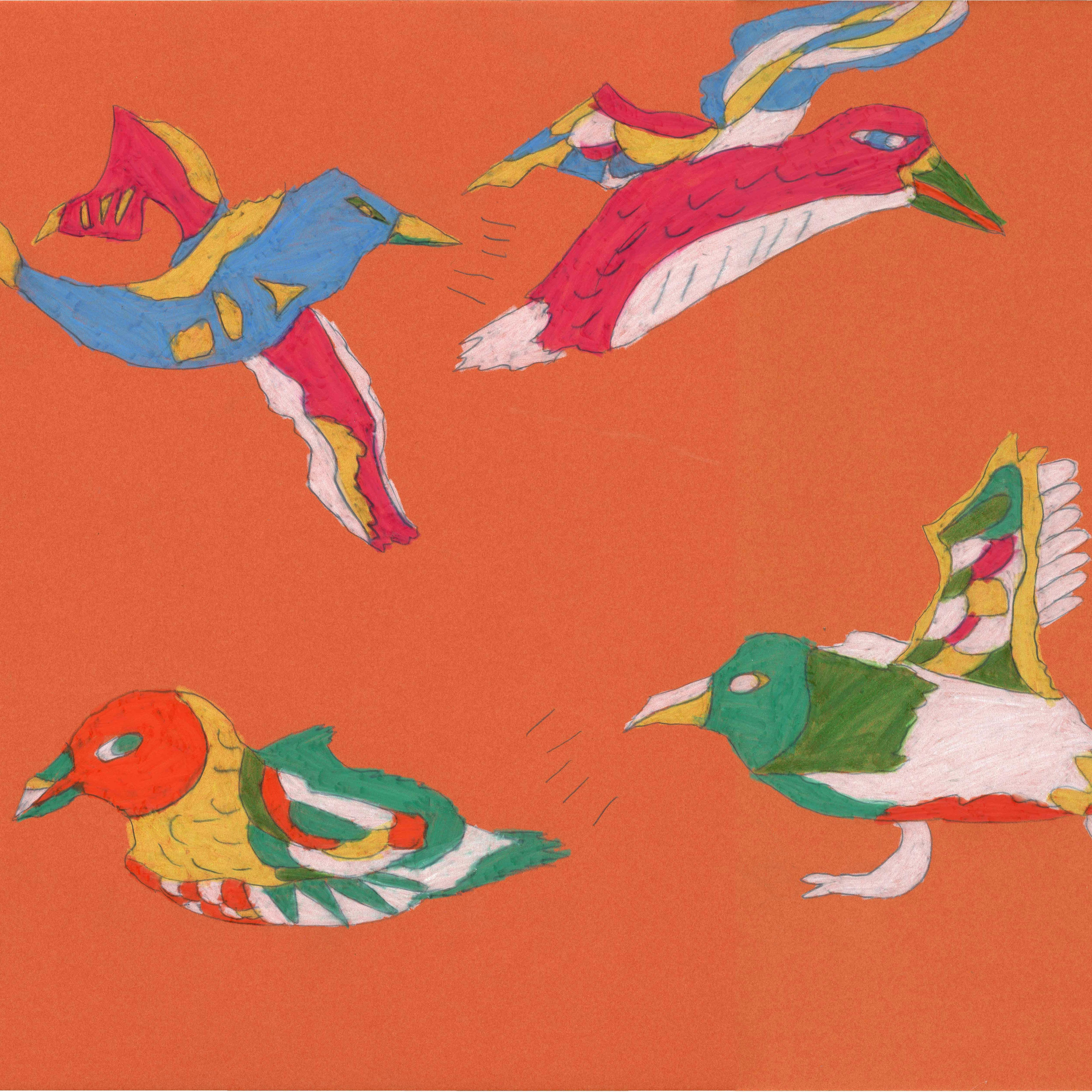 フルマカモメ　コアホウドリ　オオミズナギドリ　クロアシアホウドリ