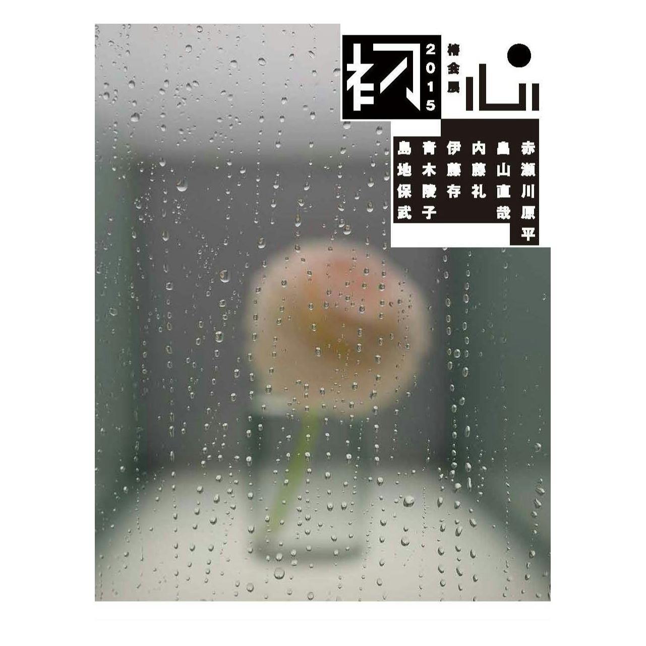 【資生堂ギャラリー】椿会展2015−初心−赤瀬川原平、畠山直哉、内藤礼、伊藤存、青木陵子、島地保武 展覧会カタログ