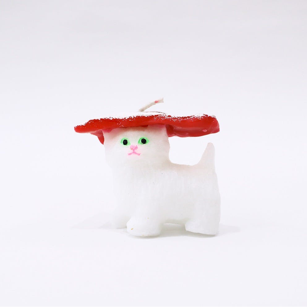 ニャンシャリ（コハダ）