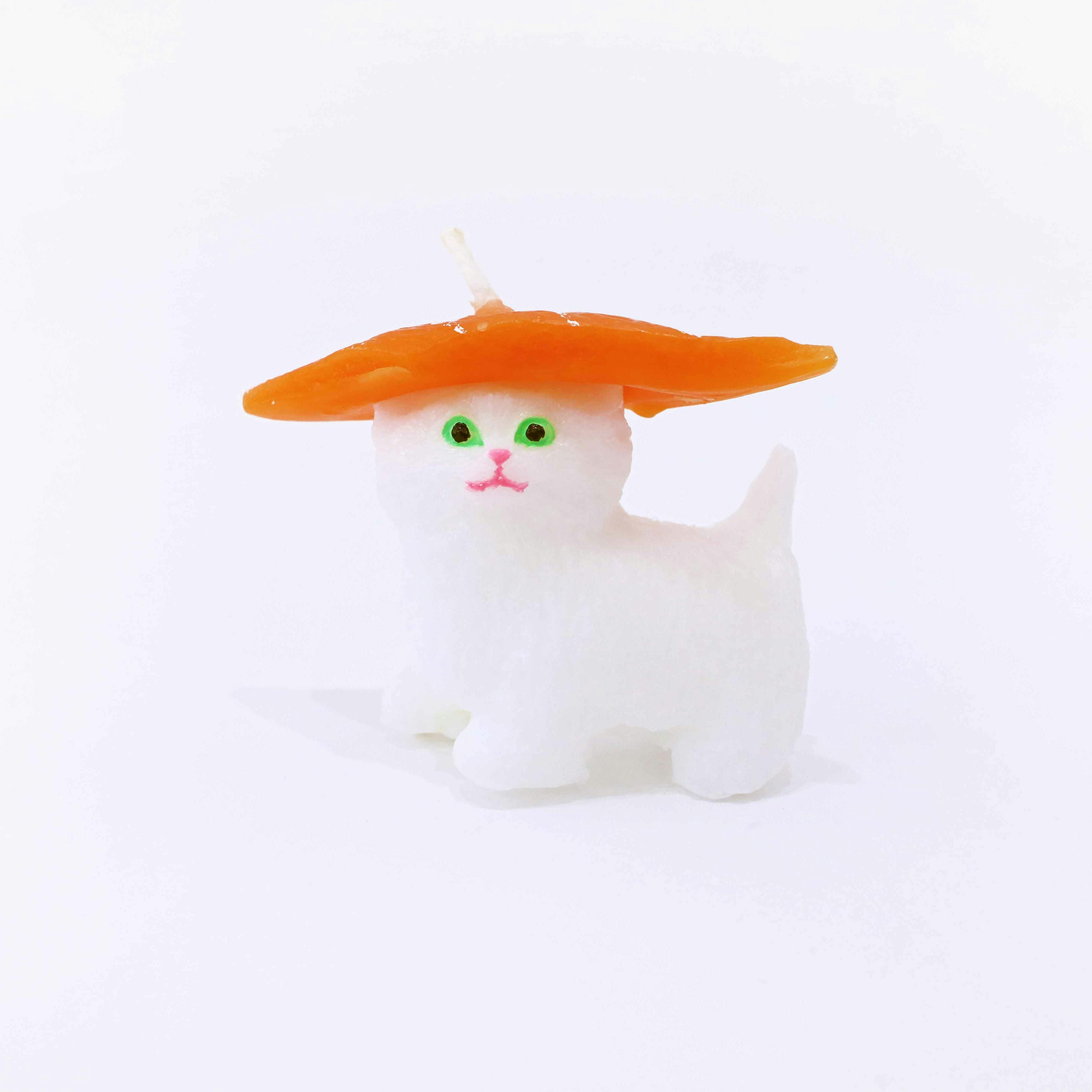 ニャンシャリ（サーモン）