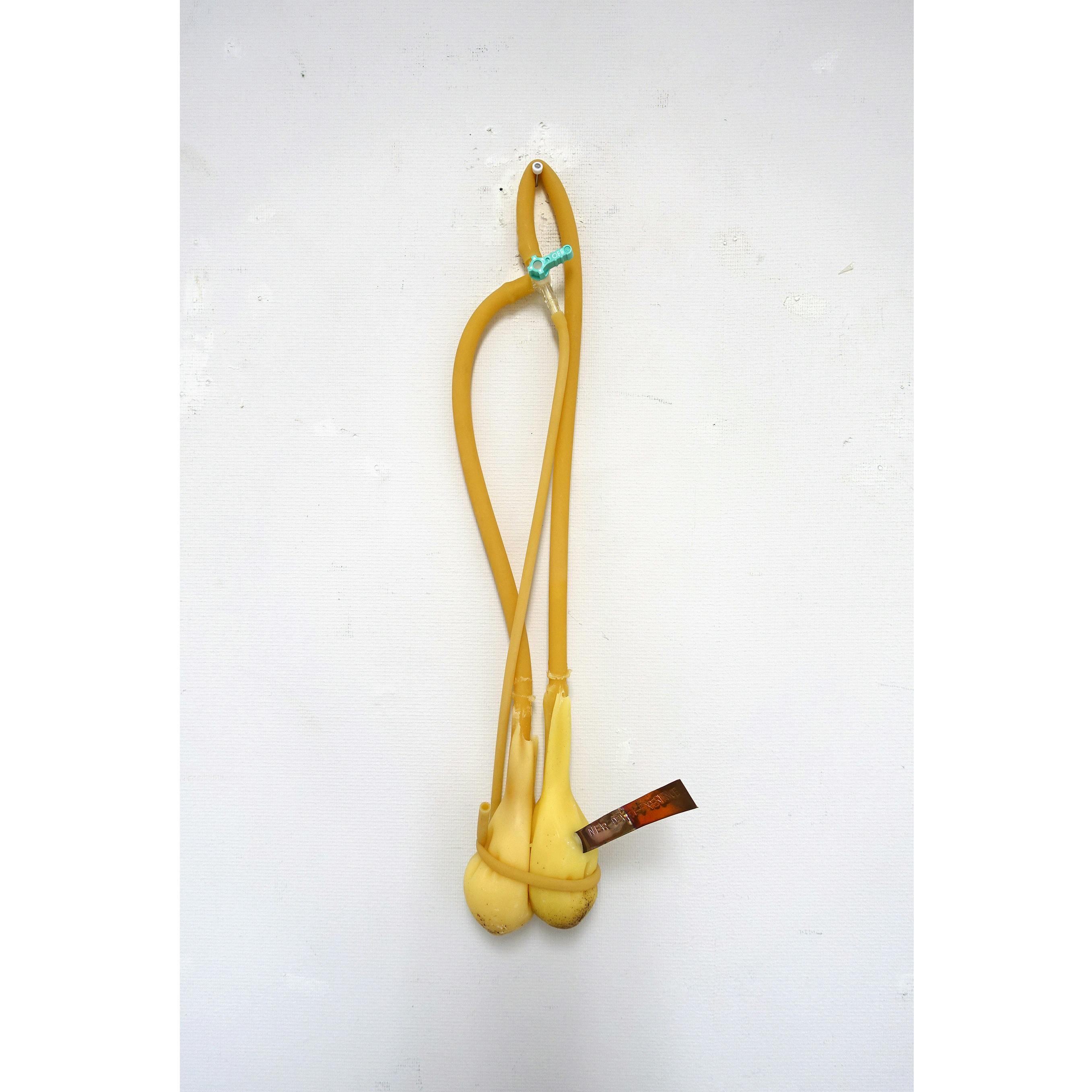 NEAR DEATH EXPERIENCE