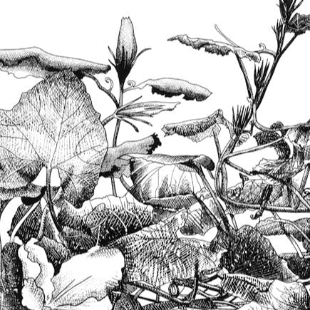 窓際の庭、ニューヨーク