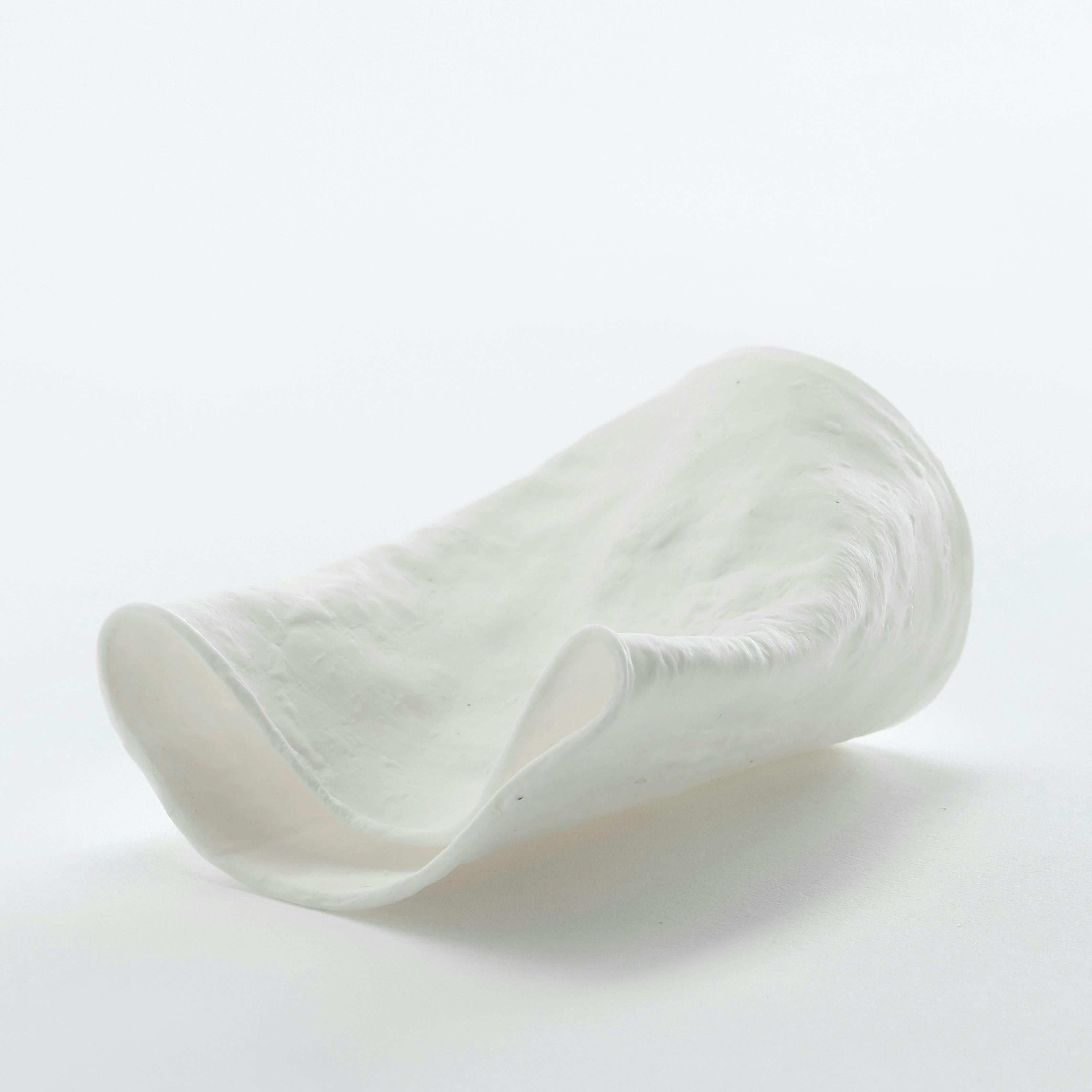 fossil sceneシリーズ cup