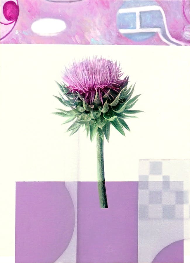 the time collector あの頃によろしく - あざみの花 -