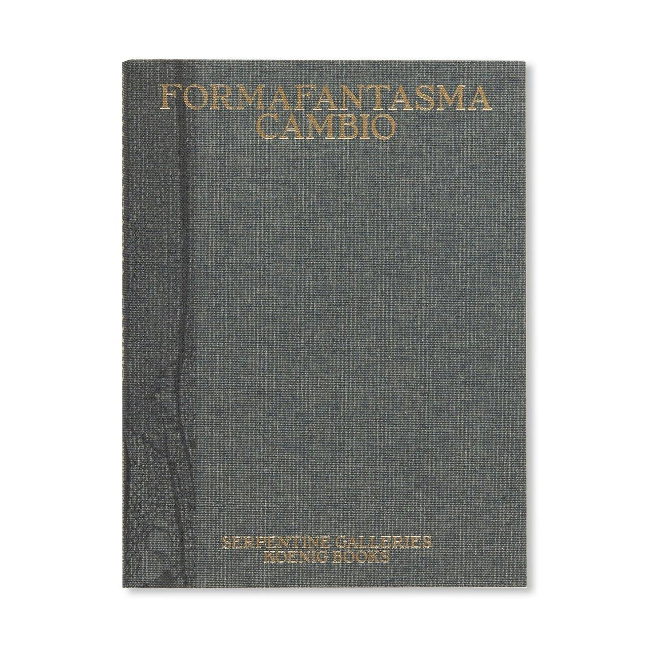 FORMAFANTASMA: CAMBIO