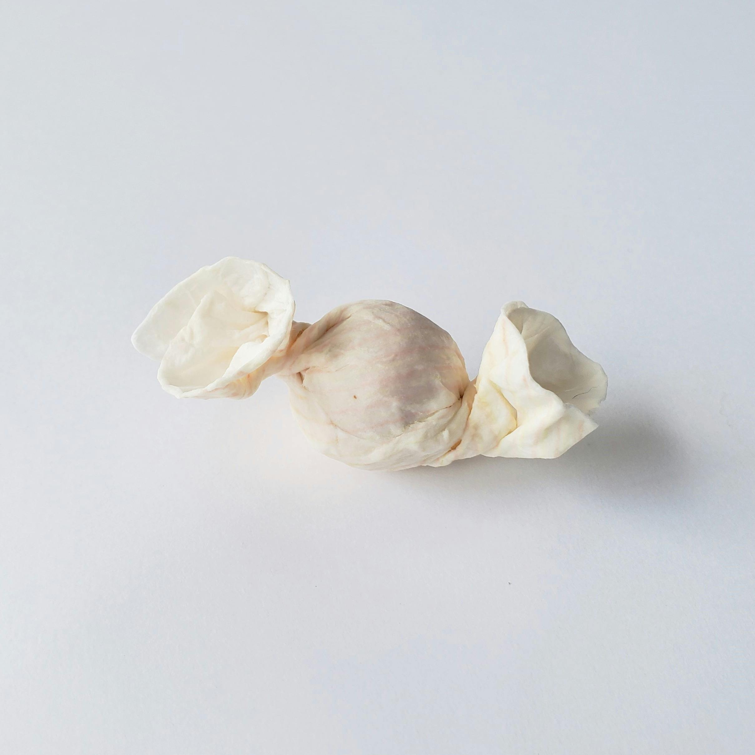 fossil sceneシリーズ candy (ピンク×黄)