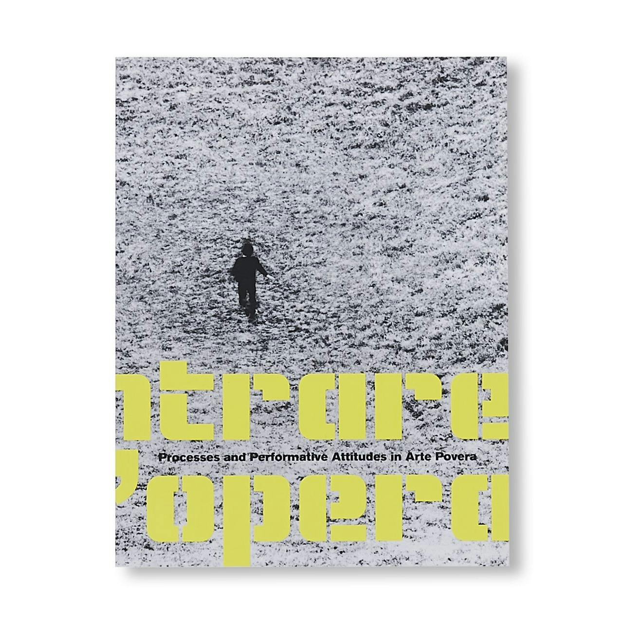 ARTE POVERA - ENTRARE NELL'OPERA: PROCESSES AND PERFORMATIVE ATTITUDES IN ARTE POVERA