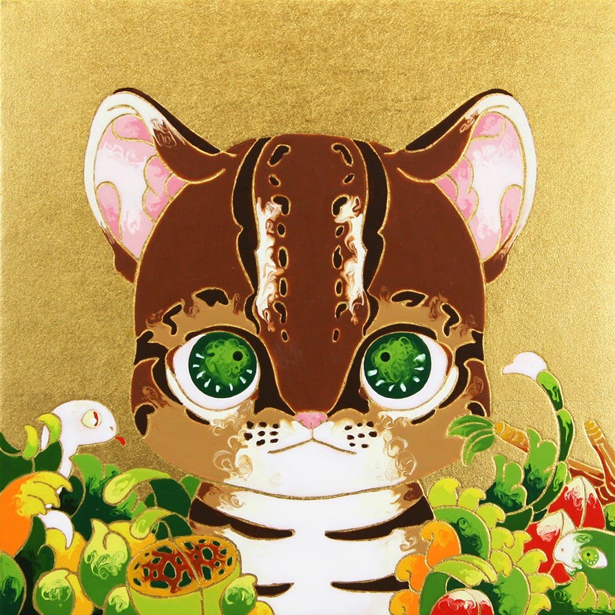 (Felidea) Ocelot