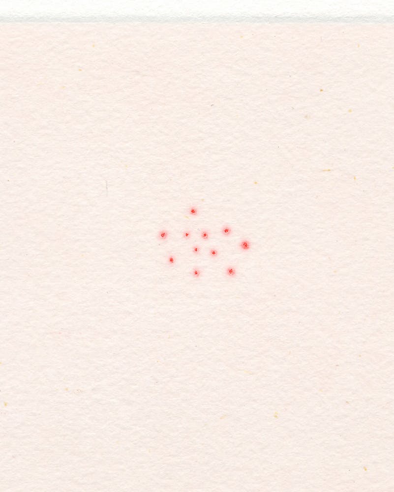 Red(dots)　部分