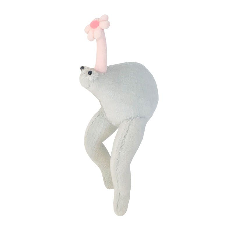 お花ノミボーイ