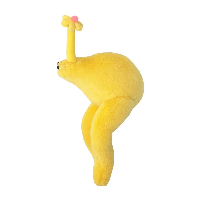 お花ノミボーイ