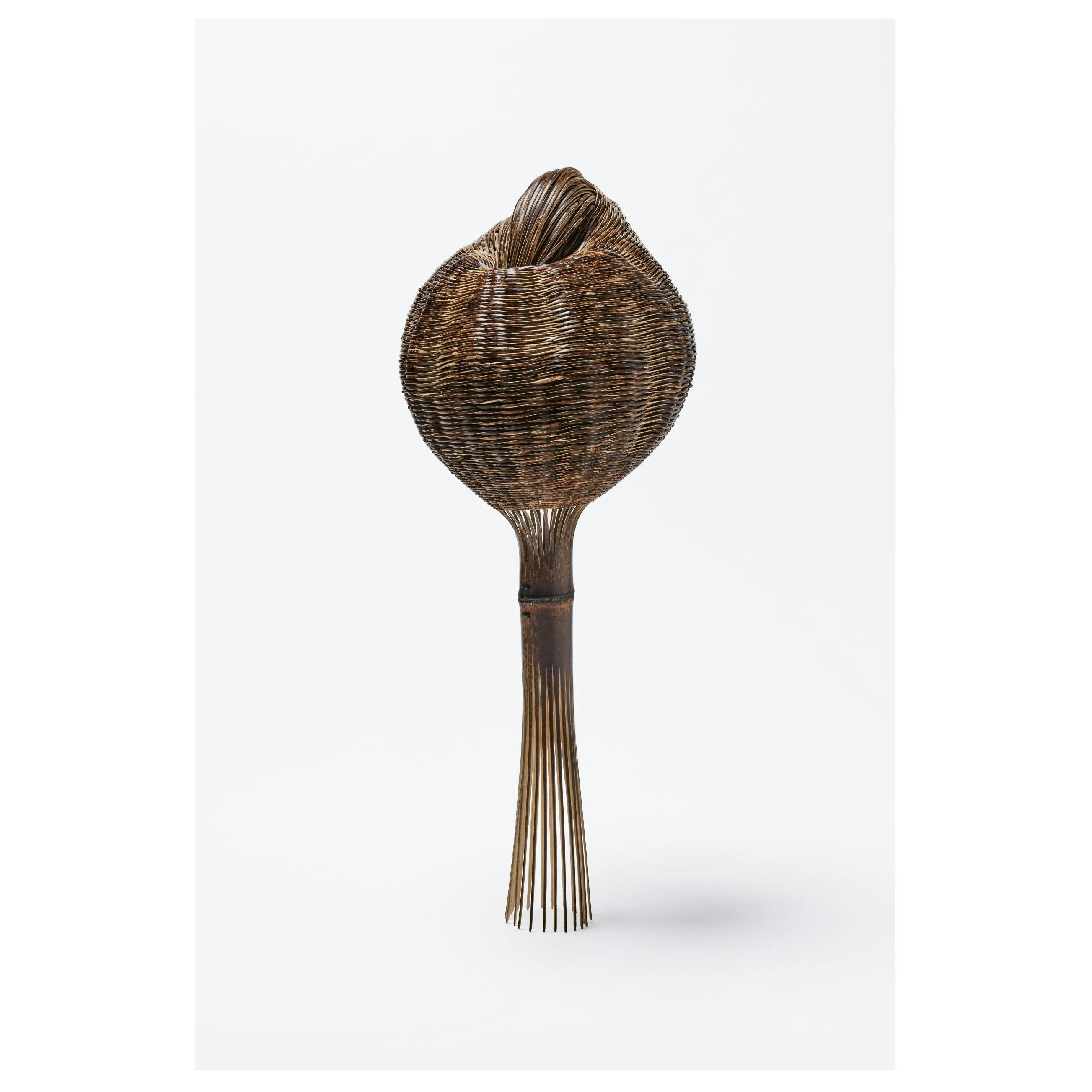 つながりー命－ ／ Connection: Life