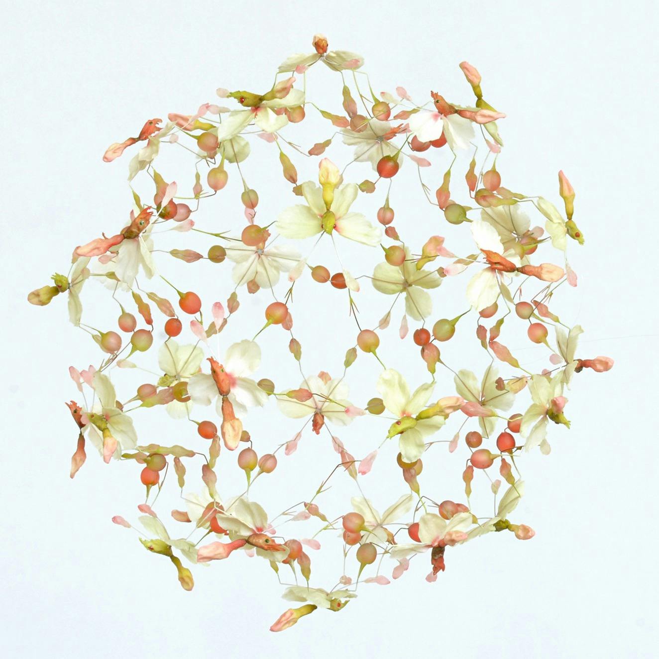 生命の房（2022.8.18,Kyoto.Japan）