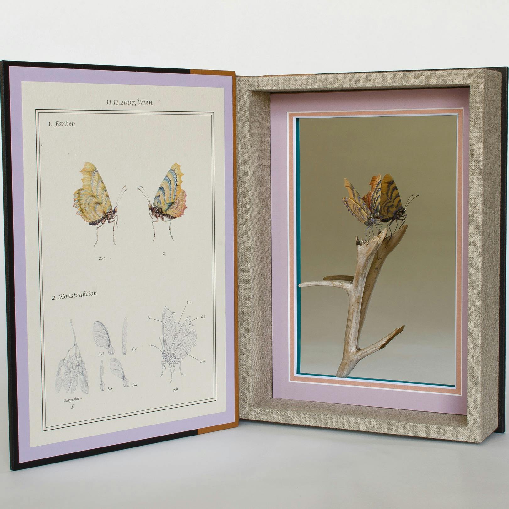 Re：11.11.2007,Wien.Österreich