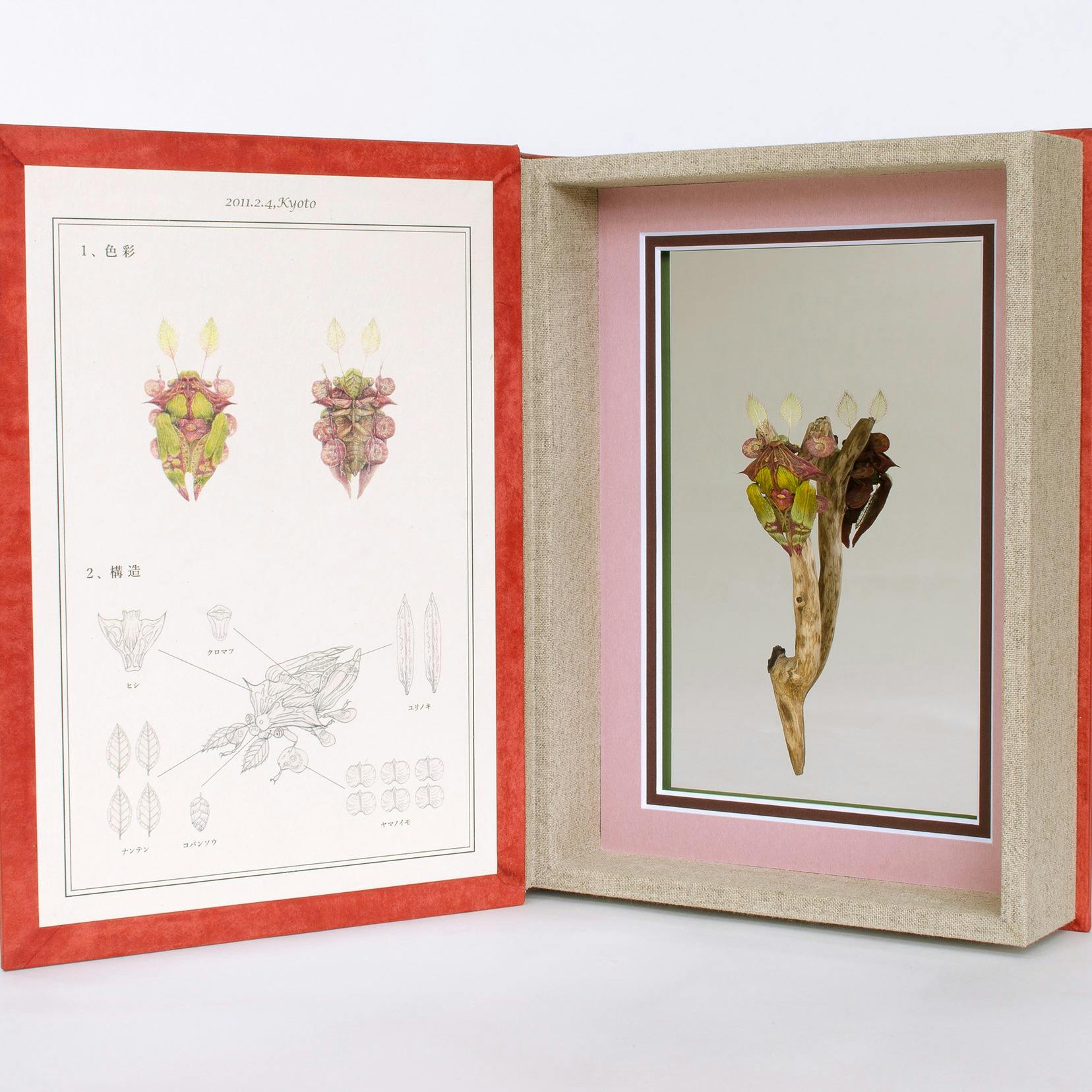 Re：2011.2.4,Kyoto.Japan