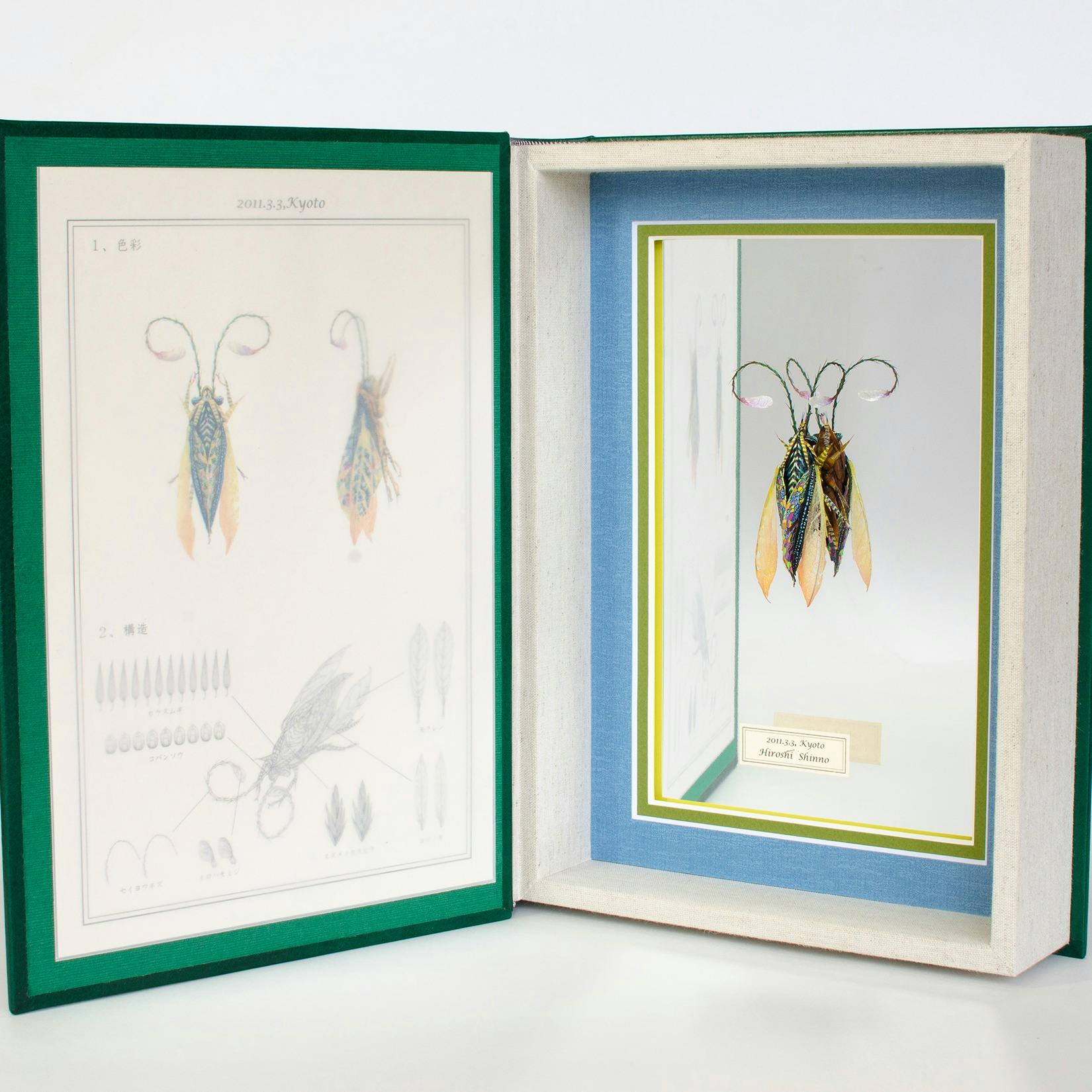 Re：2011.3.3,Kyoto.Japan