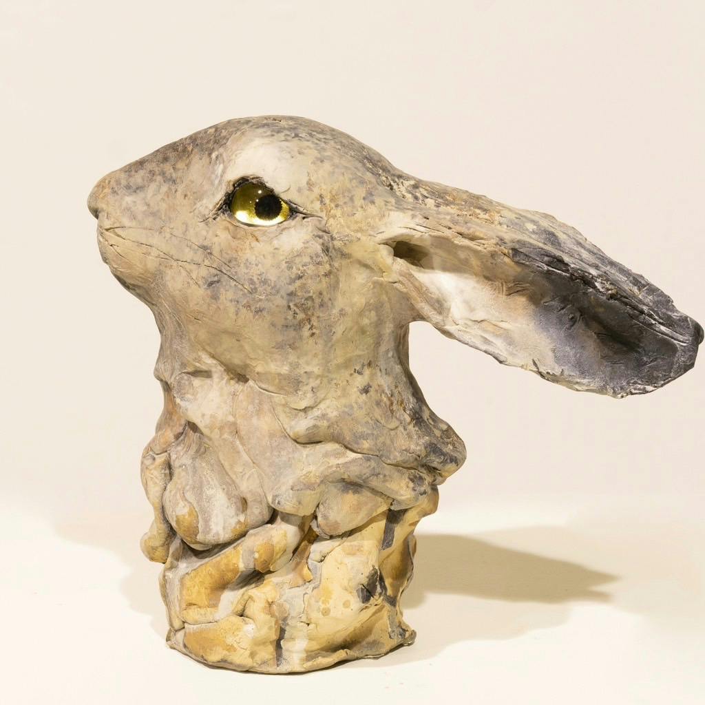 water source - Rabbit-