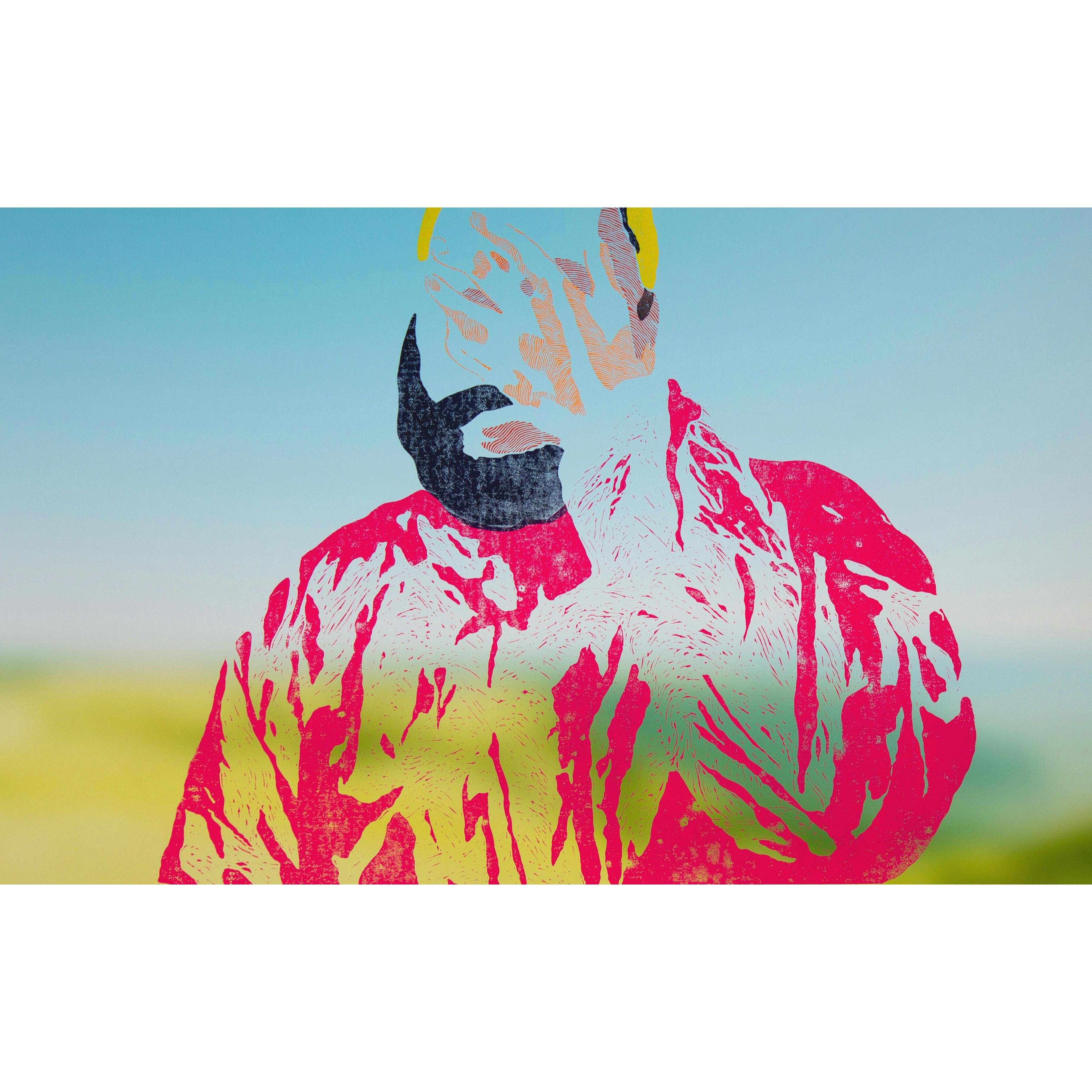 Not found "Echoes" #02