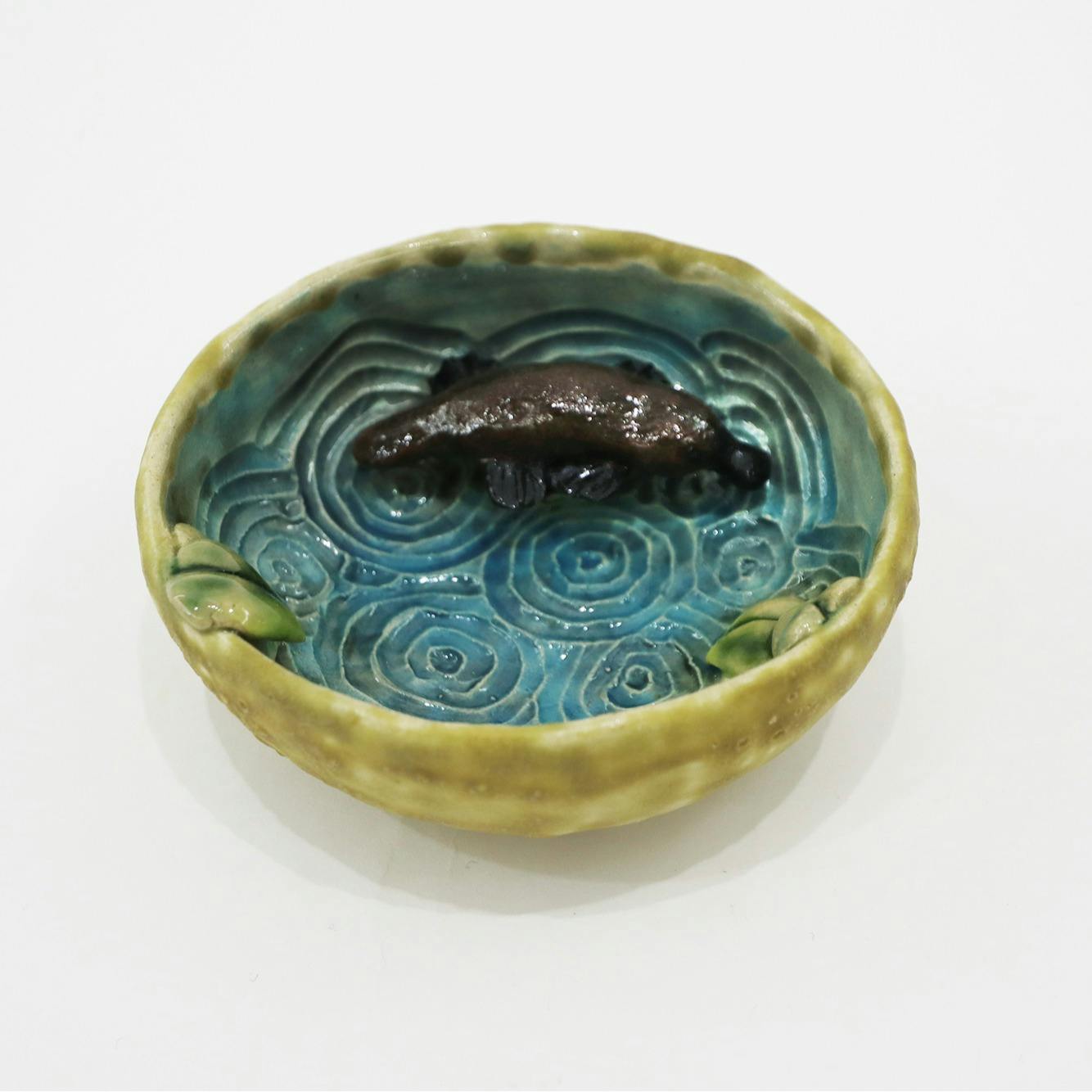 探索カモノハシ