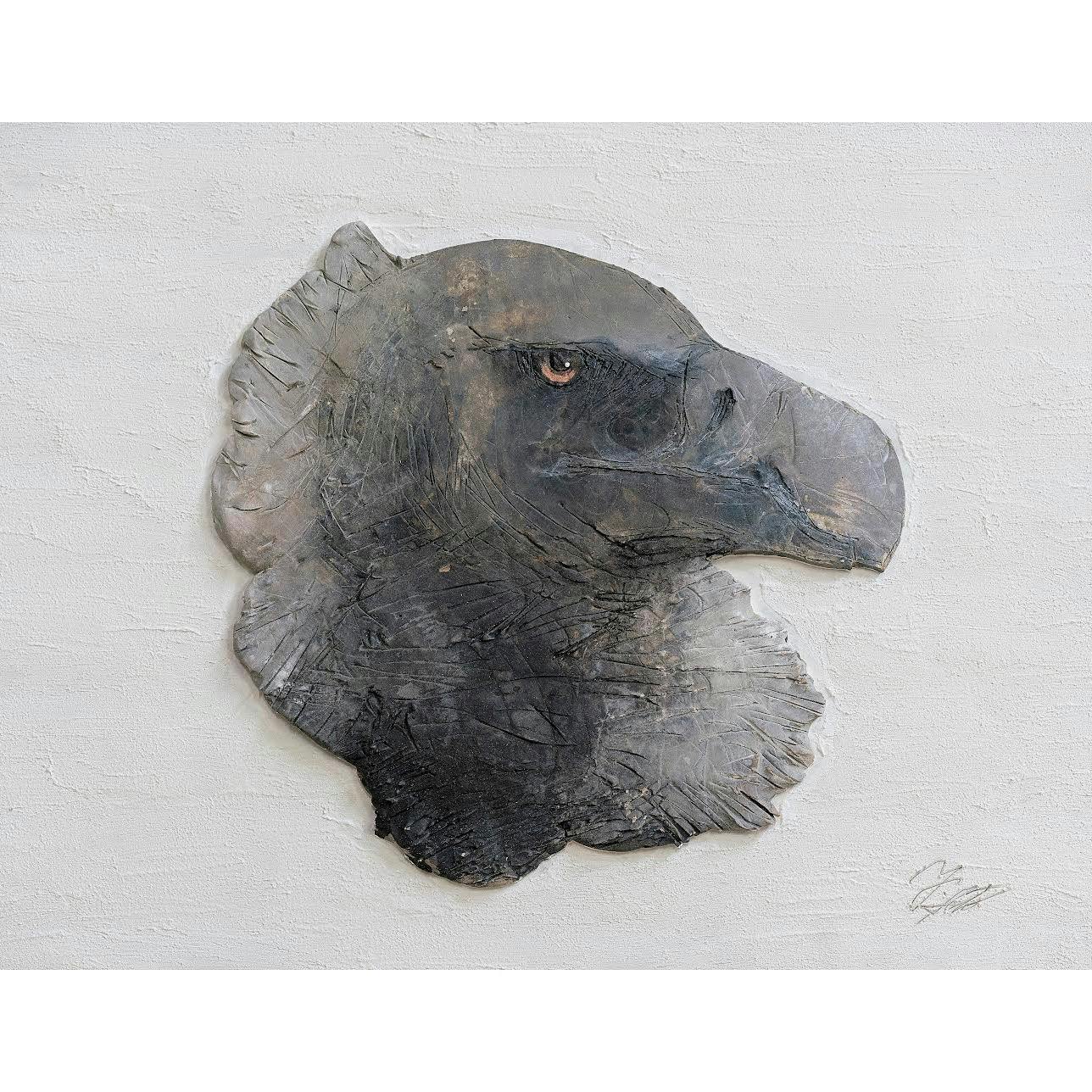 drawing relief -コンドル-