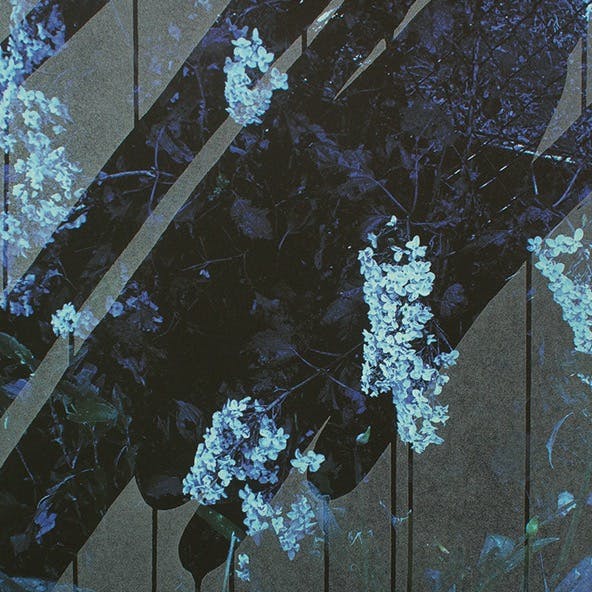 小谷くるみ 作品の販売・通販 | OIL