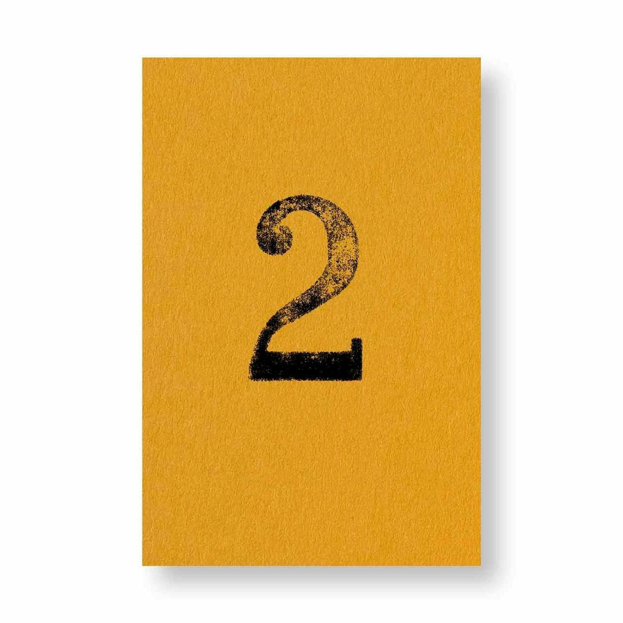 ULISES CARRIÓN Ⅱ - CATALOGUE 245