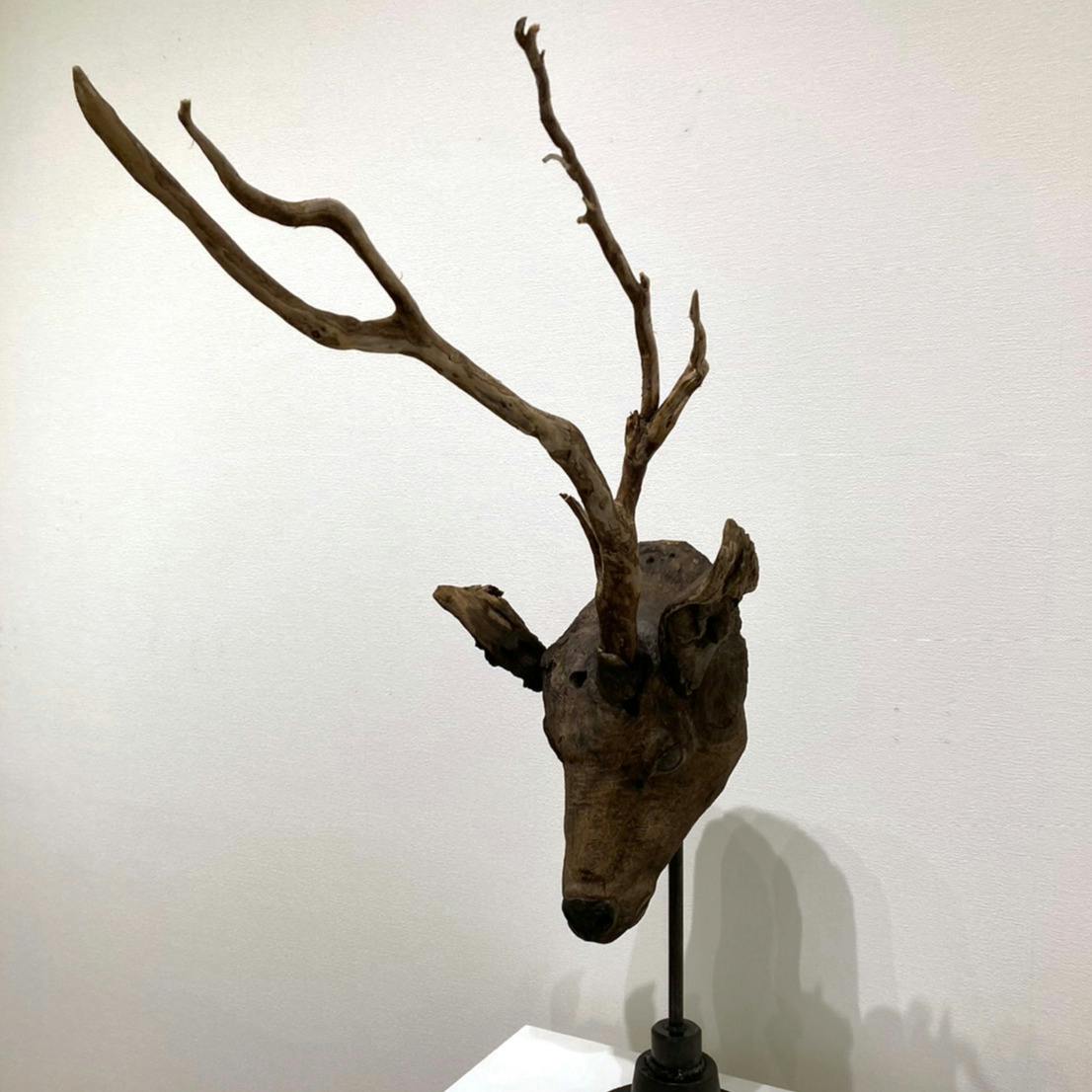 水田典寿｜美術手帖