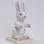 animal-C White Rabbit