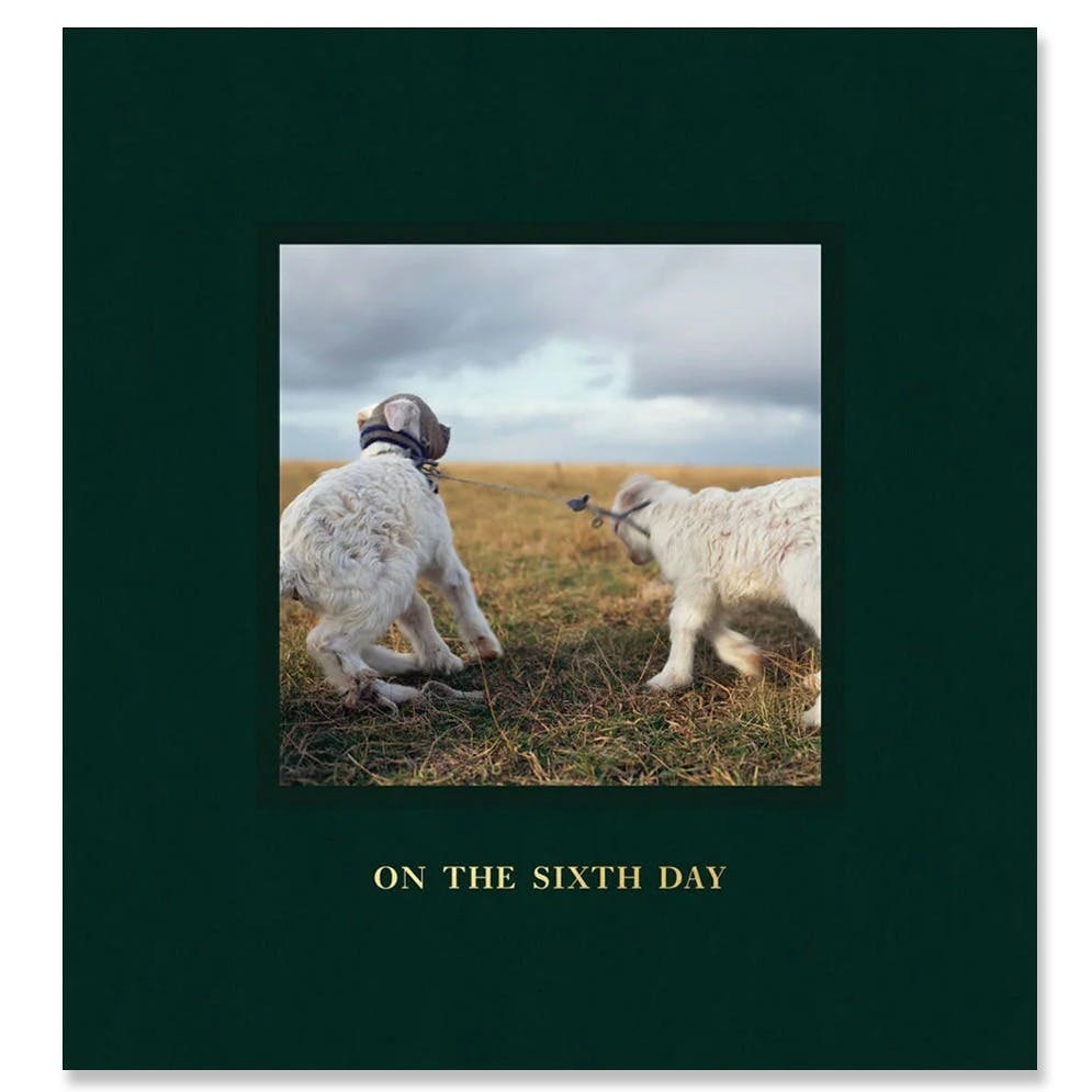 【著者サイン入】ON THE SIXTH DAY by Alessandra Sanguinetti