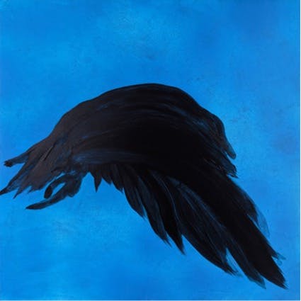 karasu 04