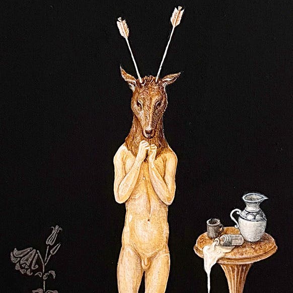 現代的ドヴィーズ II まず、立つことを真似る