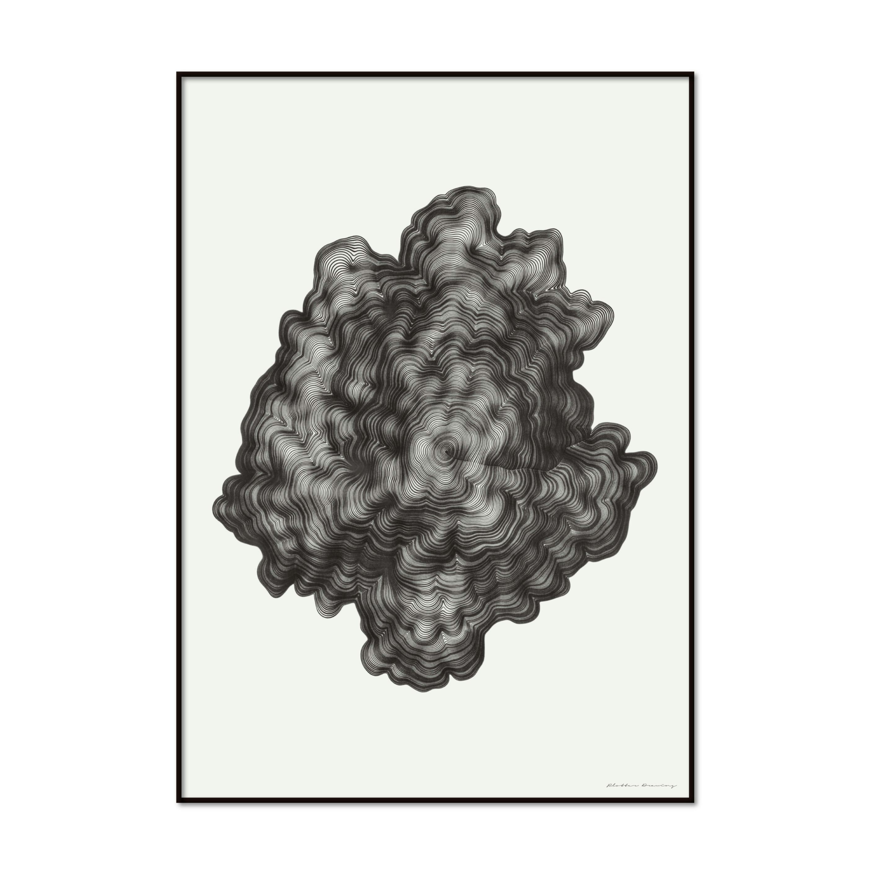 NATURE/CODE/DRAWING series　 “Tree Ring algorithm”