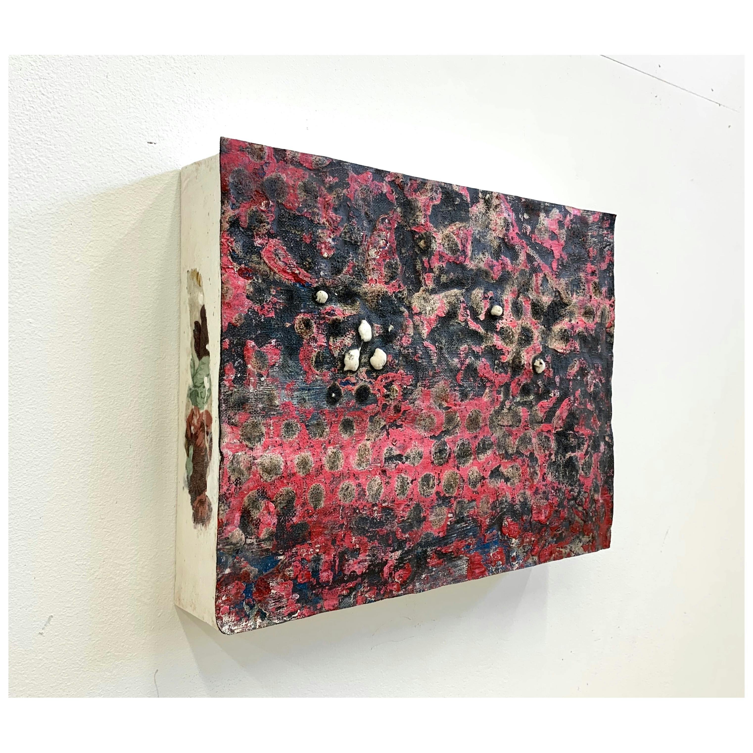 卓上の発芽  240003