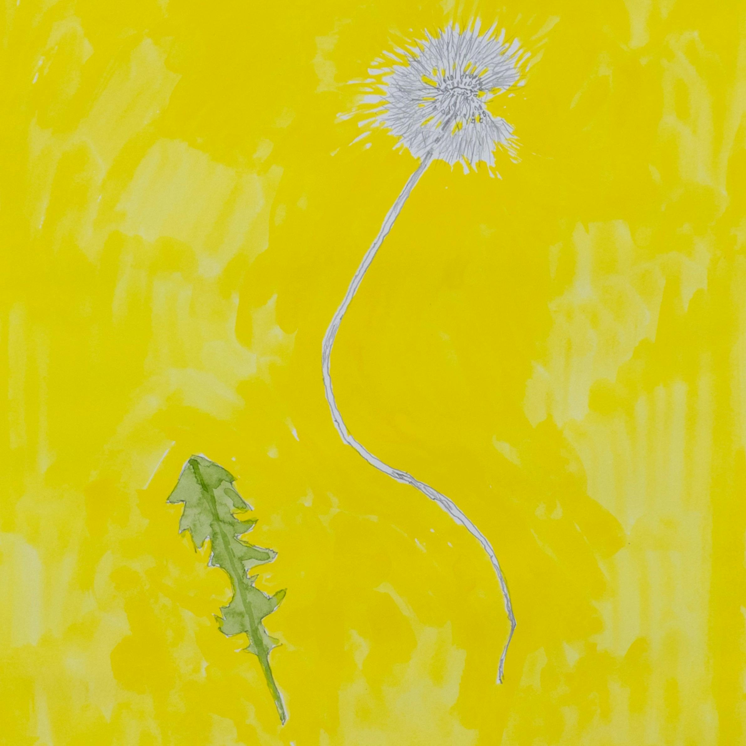 1995年のHIROSHIMAのタンポポ