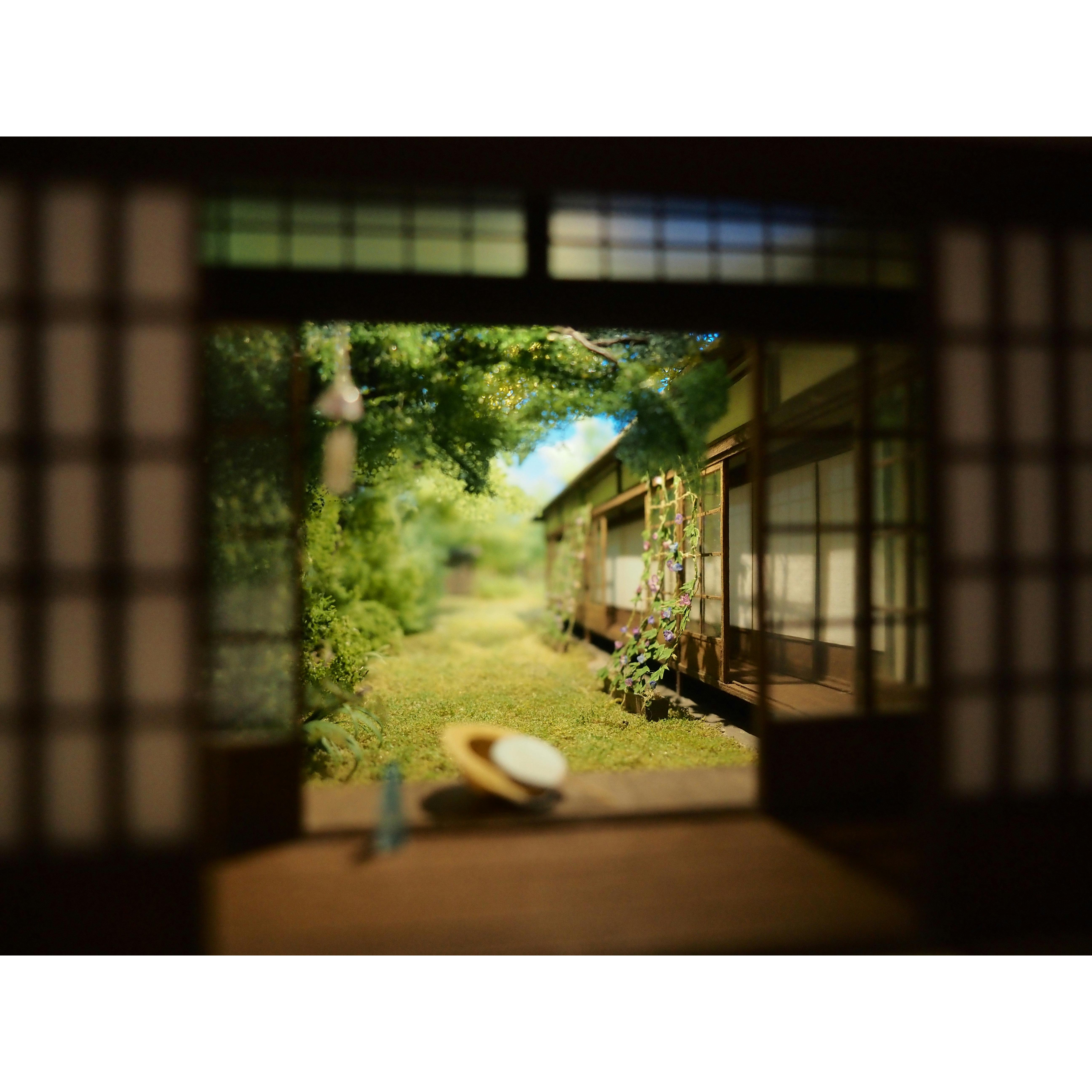 no.lv「陽爽の縁」