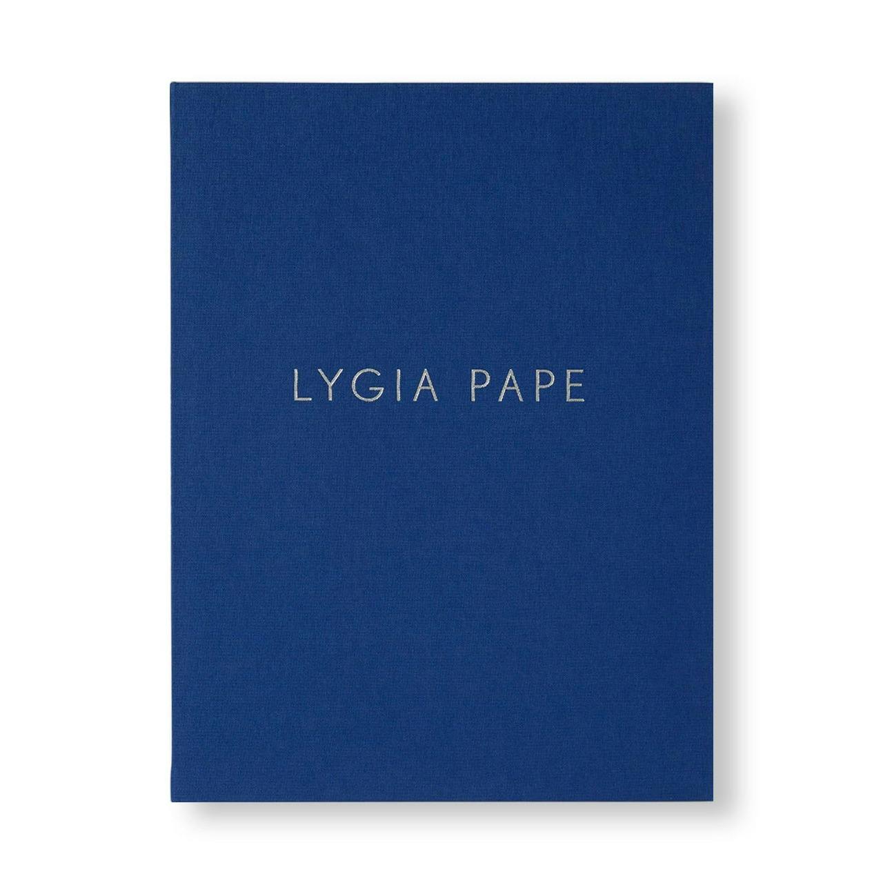LYGIA PAPE (2017)