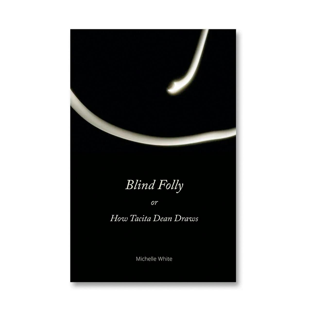 BLIND FOLLY OR HOW TACITA DEAN DRAWS