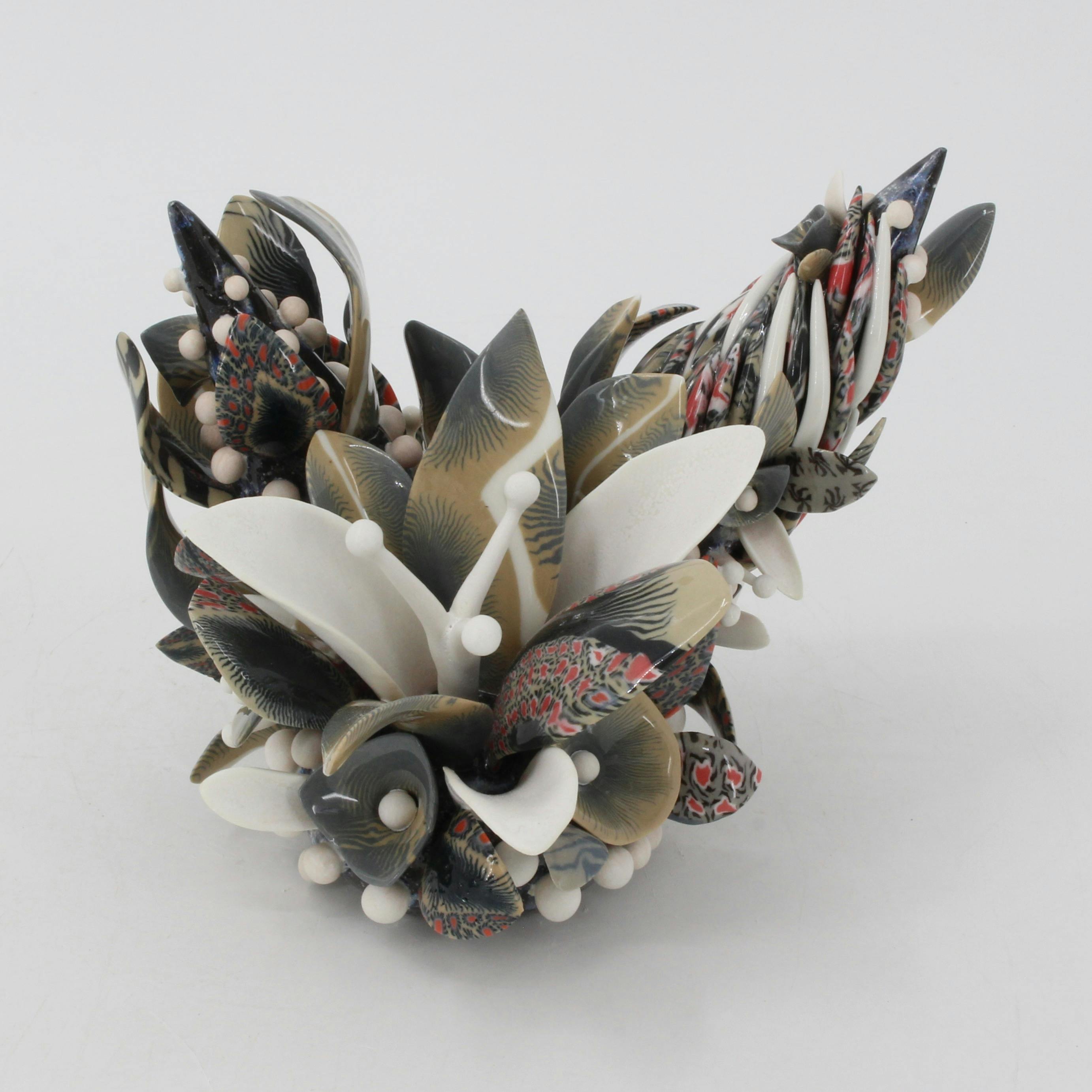 冬虫夏草(series)  [Cordyceps]  (series)