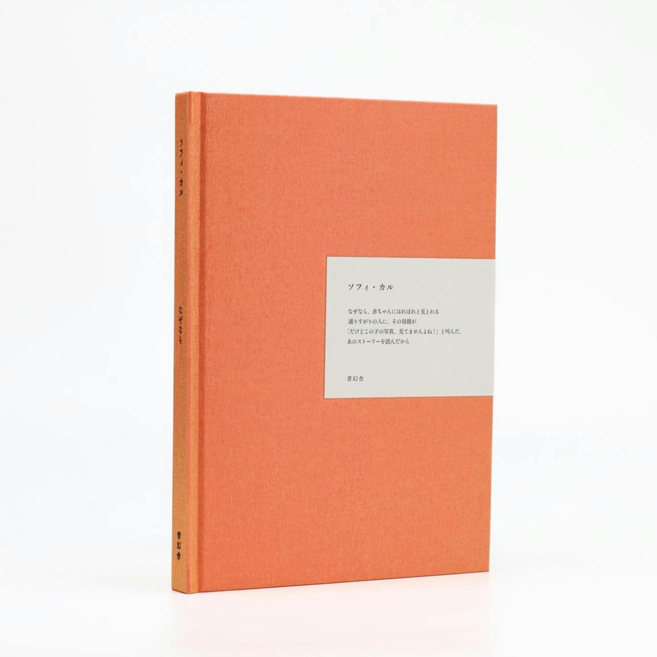 ソフィ・カル　なぜなら